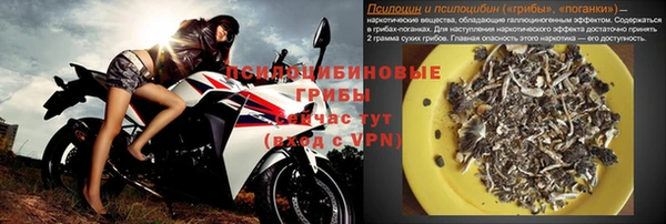 молекула духа Аркадак