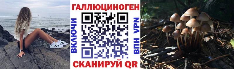 kraken как войти  Феодосия  Псилоцибиновые грибы прущие грибы 